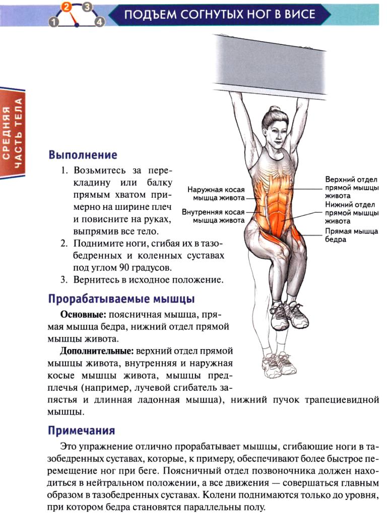 Книга по наращиванию мышцы Книга по наращиванию мышцы