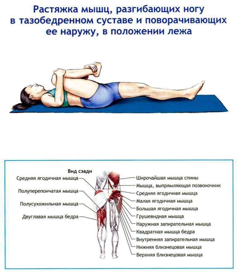 инструкция по растяжке