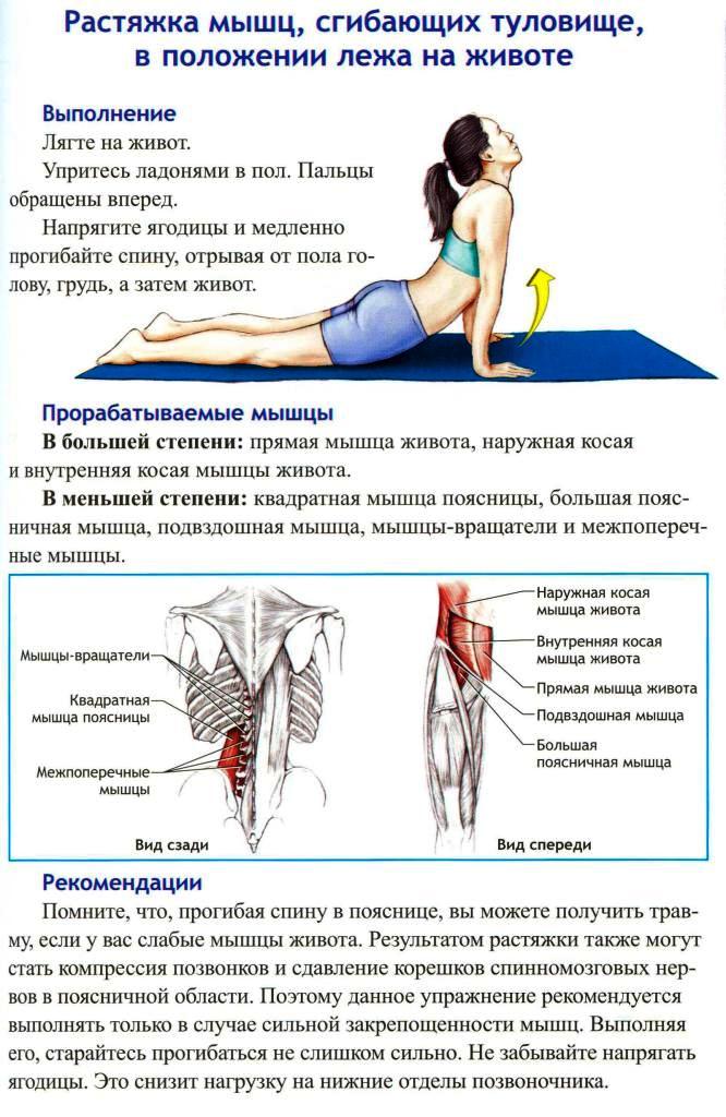 Потянула мышцы поясницы симптомы Потянула мышцы поясницы симптомы